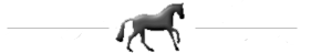 cheval au domaine