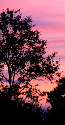Flamboyance d'un coucher de soleil au domaine