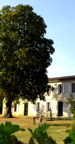 Chambre d'hôtes et cheval